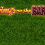 Shrimp on the Barbie Slots